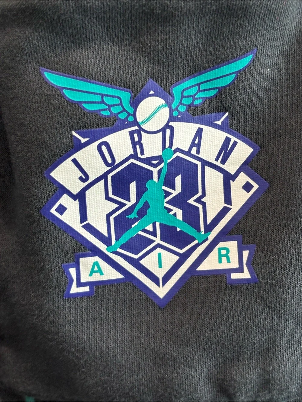 Jordan Men's Black with Teal Pinstripe Athletic Shorts